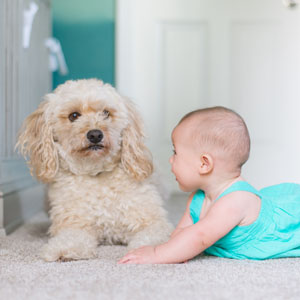 Dog and Baby