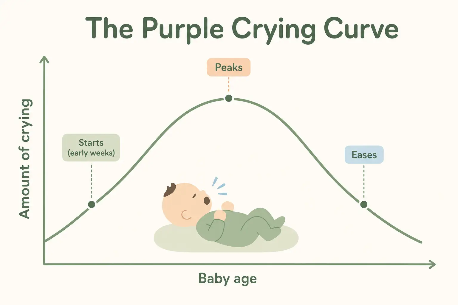 The purple crying curve: crying starts in the early weeks, peaks, then eases as baby gets older