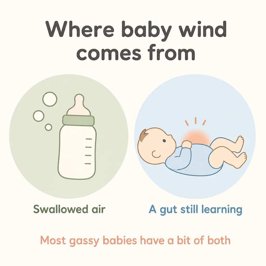 Where baby wind comes from: swallowed air and a gut still learning